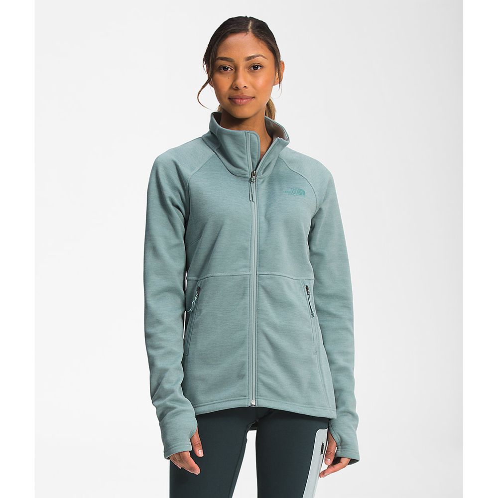 The North Face Fleece Jacket Womens Australia - The North Face Canyonlands Full Zip Silver Blue Hiki